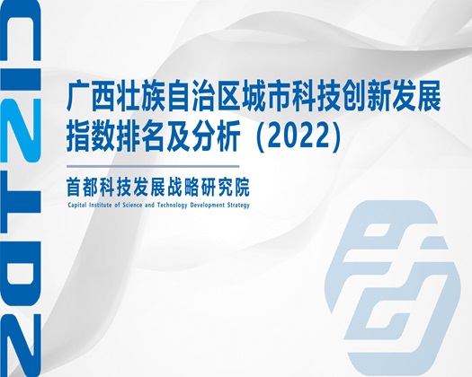 黄色美女BB视频【成果发布】广西壮族自治区城市科技创新发展指数排名及分析（2022）